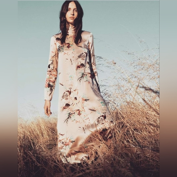 Aritzia Wilfred XS Laverne 100% Silk Floral High Neck Cottagecore Midi Dress - Picture 6 of 12